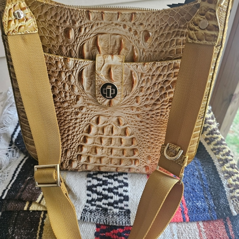 Brahmin shoulder